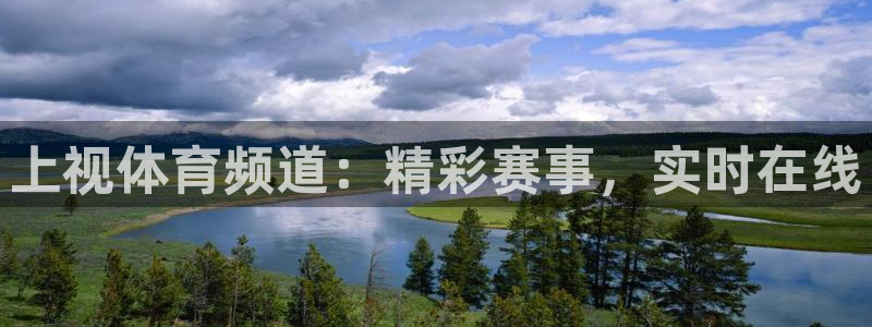 上视体育频道：精彩赛事，实时在线