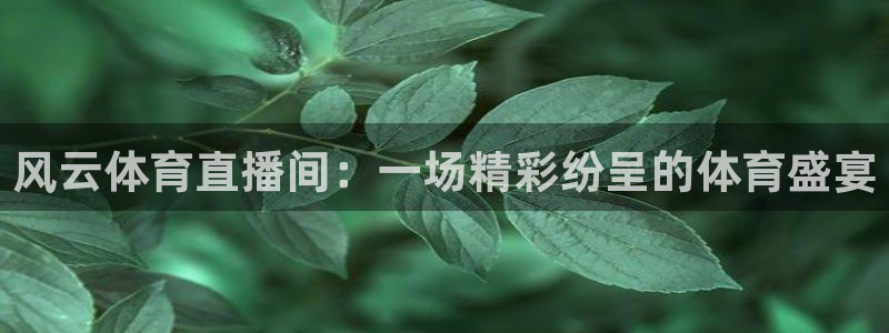 风云体育直播间：一场精彩纷呈的体育盛宴