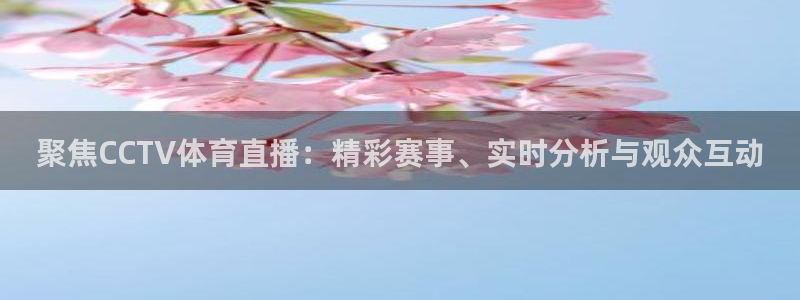 聚焦CCTV体育直播：精彩赛事、实时分析与观众互动
