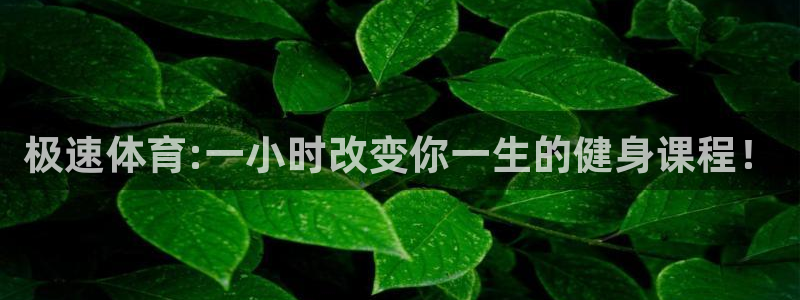 极速体育:一小时改变你一生的健身课程！