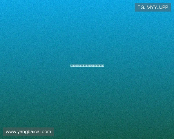 柏林联盟崛起：德甲新势力挑战传统强队的未来之路